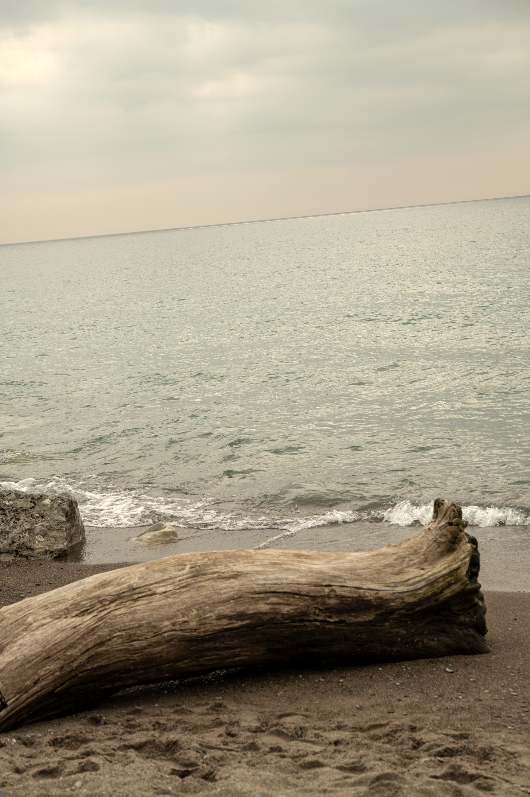 Weathered driftwood resting at the edge of the water.